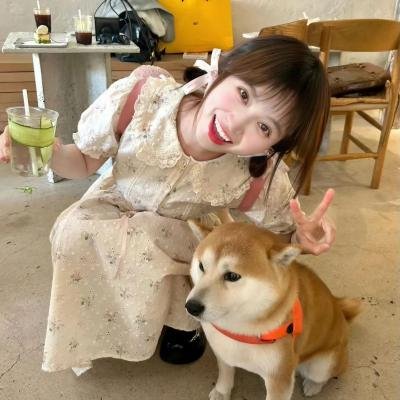 完美配对谋杀案